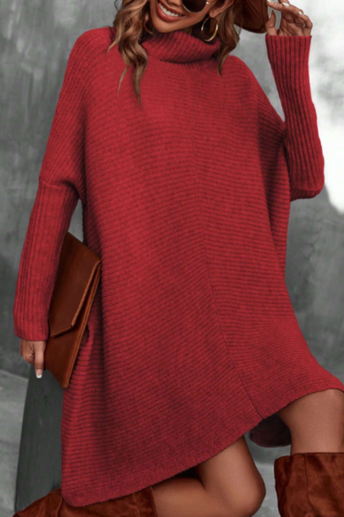Turtleneck Wing Sleeve Sweater Dress